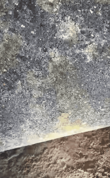 Mold-like growth and discoloration visible across a porous building material.