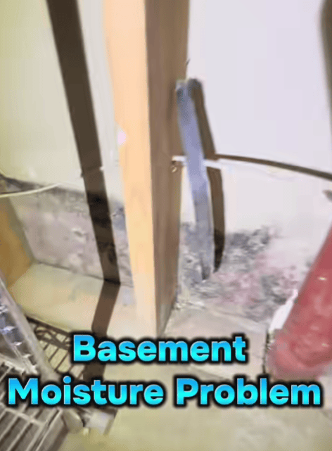 Visible moisture and water intrusion affecting the walls and floor of an unfinished basement.