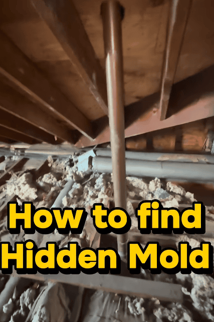 Home interior with “How to Find Mold” text overlay, highlighting the process of identifying potential mold and moisture concerns.
