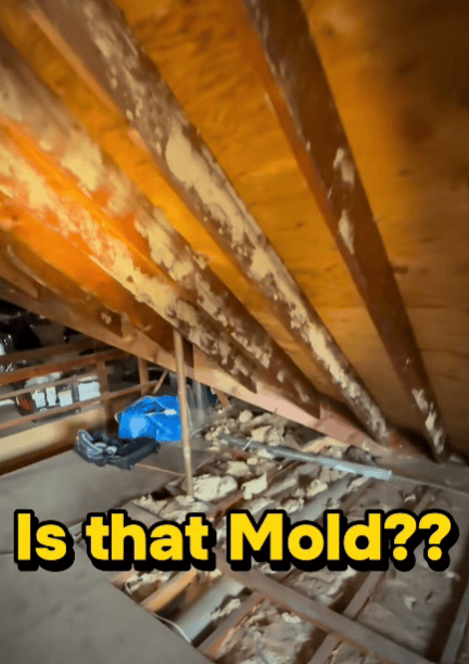 Close-up of a building surface with “Is That Mold?” text overlay, illustrating the evaluation of a possible mold concern.