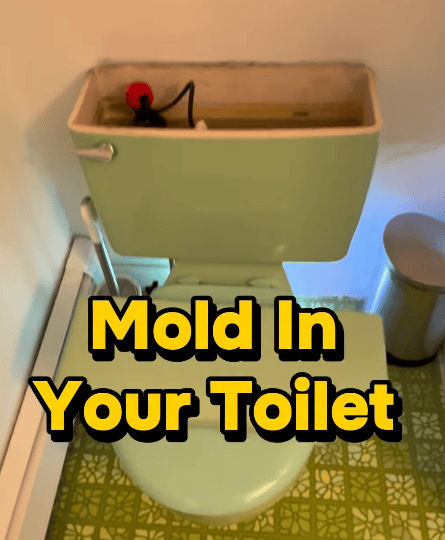 Dark mold-like growth and discoloration visible around the base and surrounding area of a toilet.