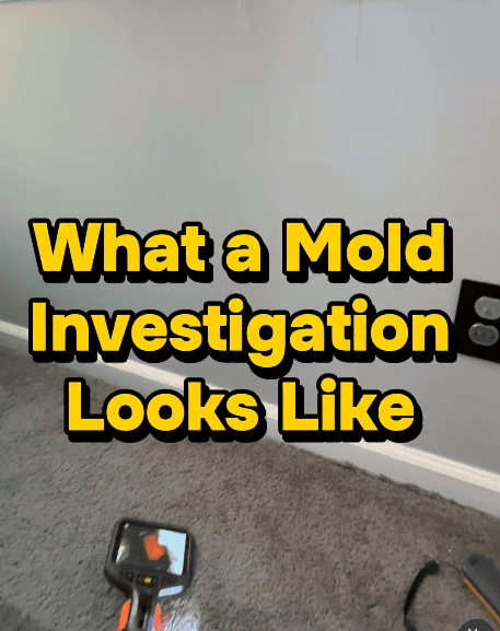 Home interior with “What a Mold Investigation Looks Like” text overlay.
